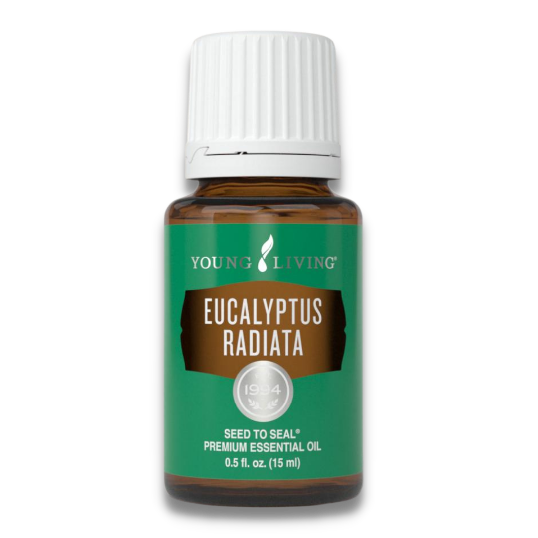 น้ำมันยูคาลิปตัส young living eucalyptus radiata essential oil 15ml